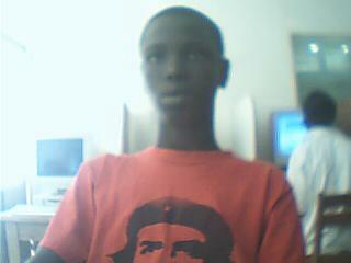 david